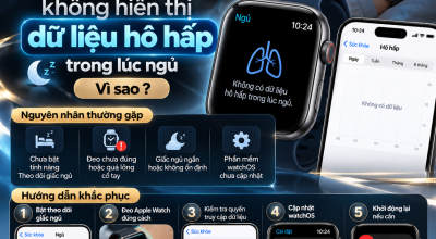 Apple Watch Không Hiển Thị Chỉ Số Phục Hồi Nhịp Tim Sau Khi Tập: Nguyên Nhân Và Cách Khắc Phục