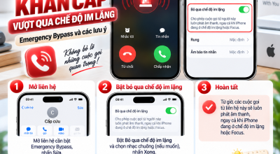 Cho Phép Cuộc Gọi Khẩn Cấp Vượt Qua Chế Độ Im Lặng Trên iPhone