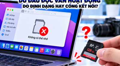 MacBook Không Nhận Thẻ SD: Nguyên Nhân Và Cách Khắc Phục