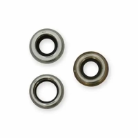 Hình ảnh Thay kính camera iPhone 12 Pro Max